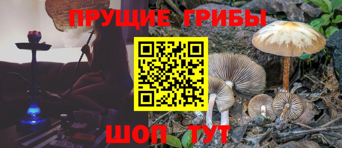 LSD-25 Минеральные Воды