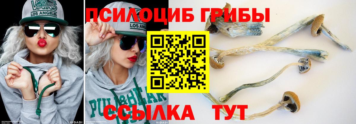Галлюциногенные грибы GOLDEN TEACHER  Вход с VPN  Псилоцибиновые грибы ЛСД  Минеральные Воды 